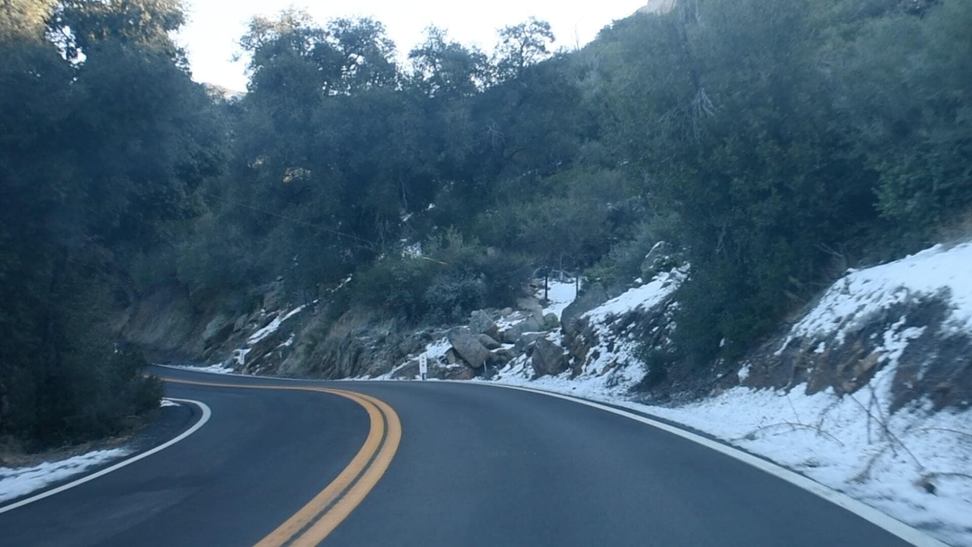 The First Canines (2020)