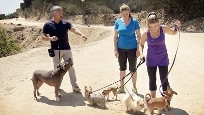 Episode 11