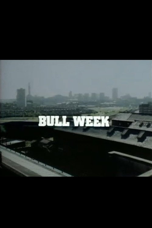 Poster of Bull Week