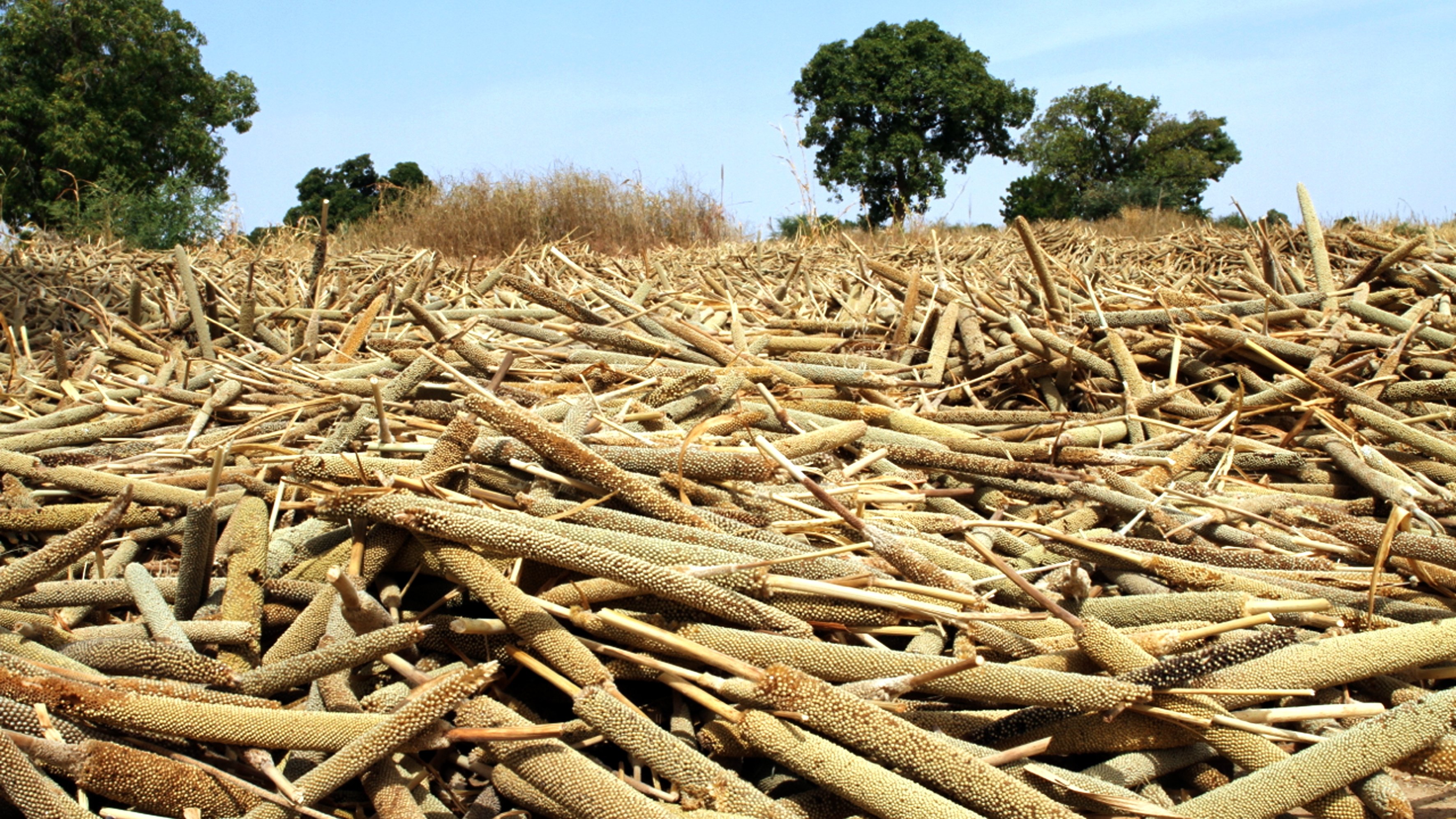 Thumbnail for The Great Land Rush Season 1 Episode 7