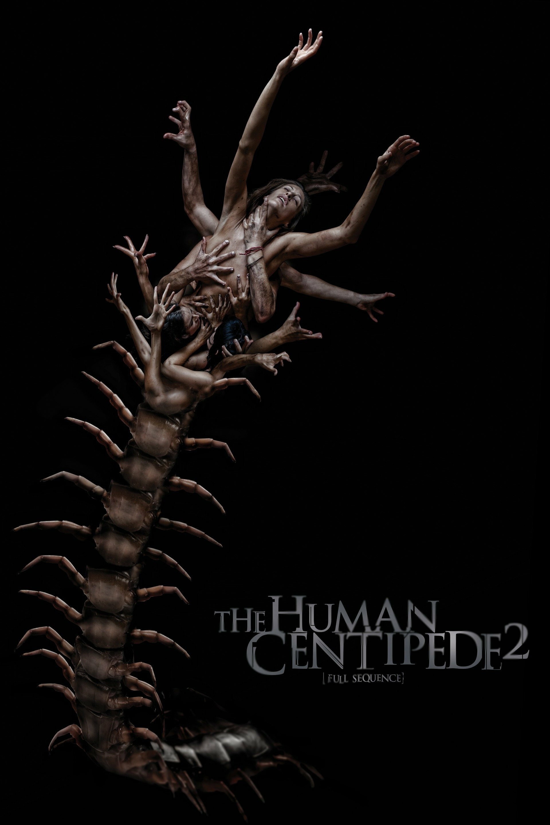 The Human Centipede 2 Full Sequence 2011 Posters The Movie 