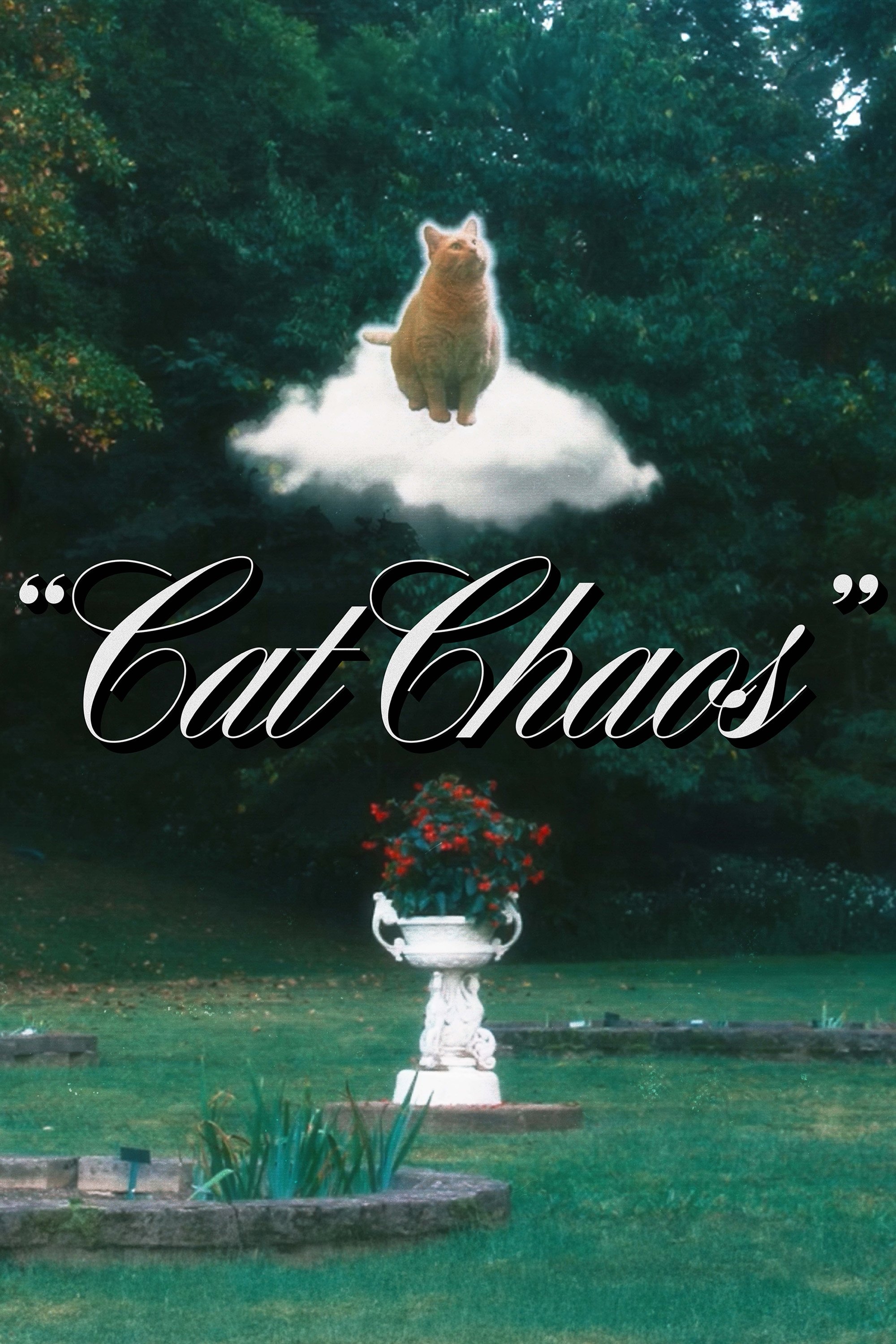 Cat Chaos Cat Chaos