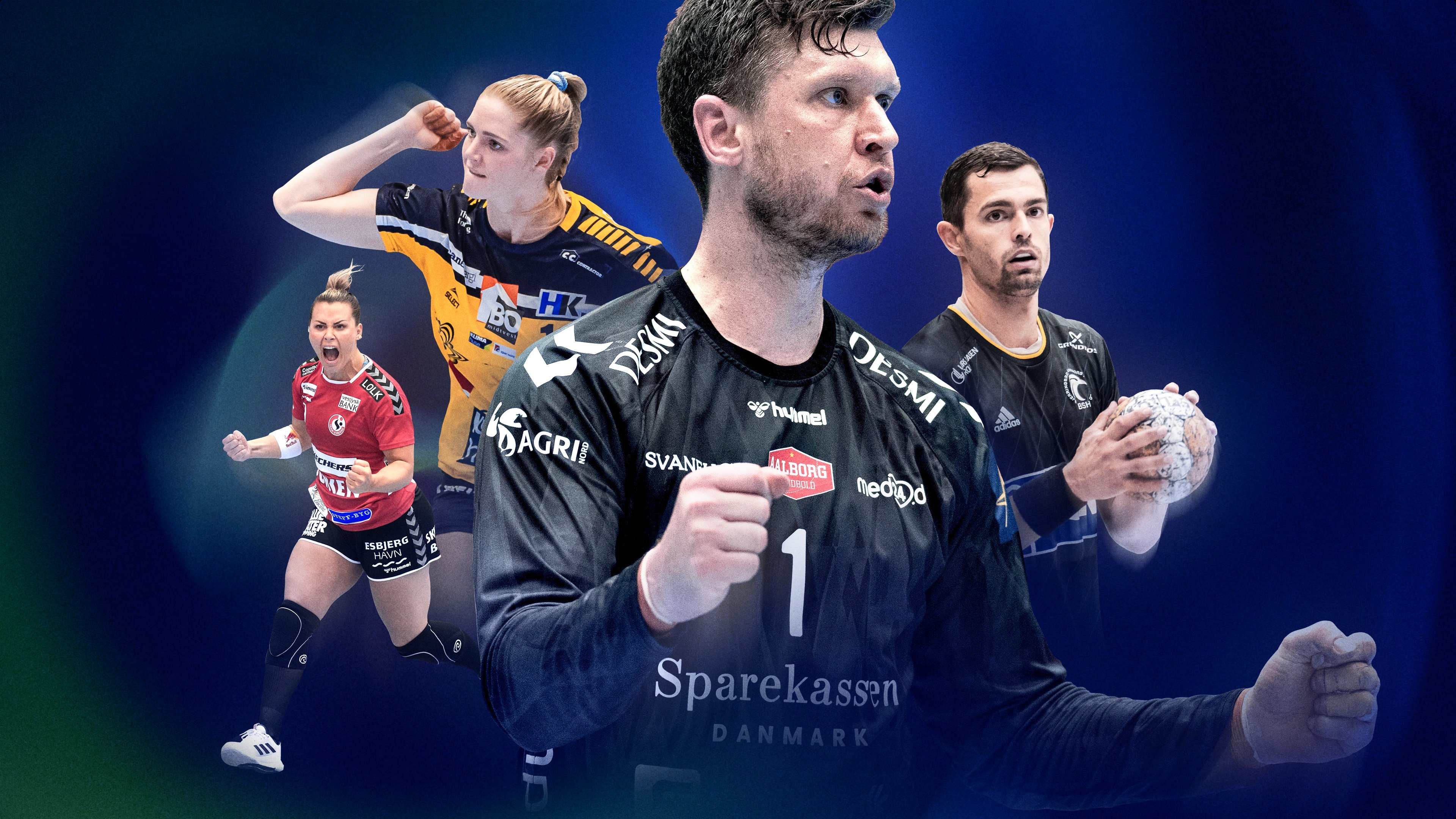 Dansk Ligahåndbold backdrop