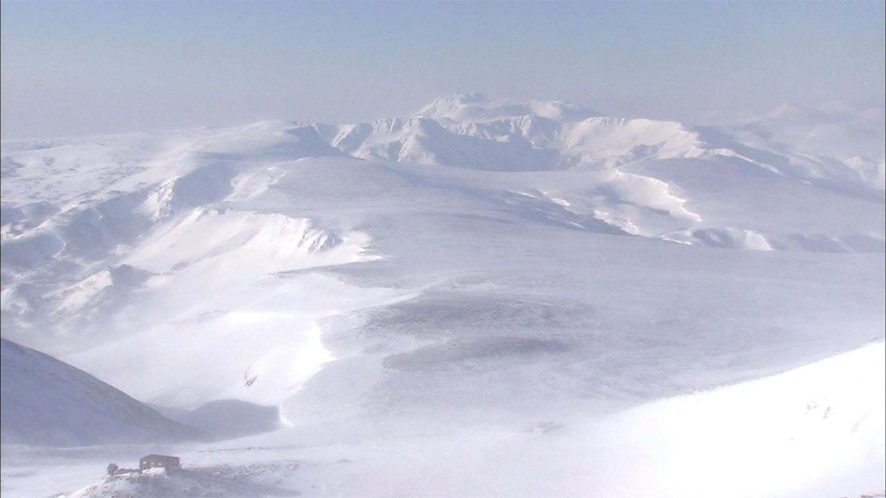 Wild Hokkaido!