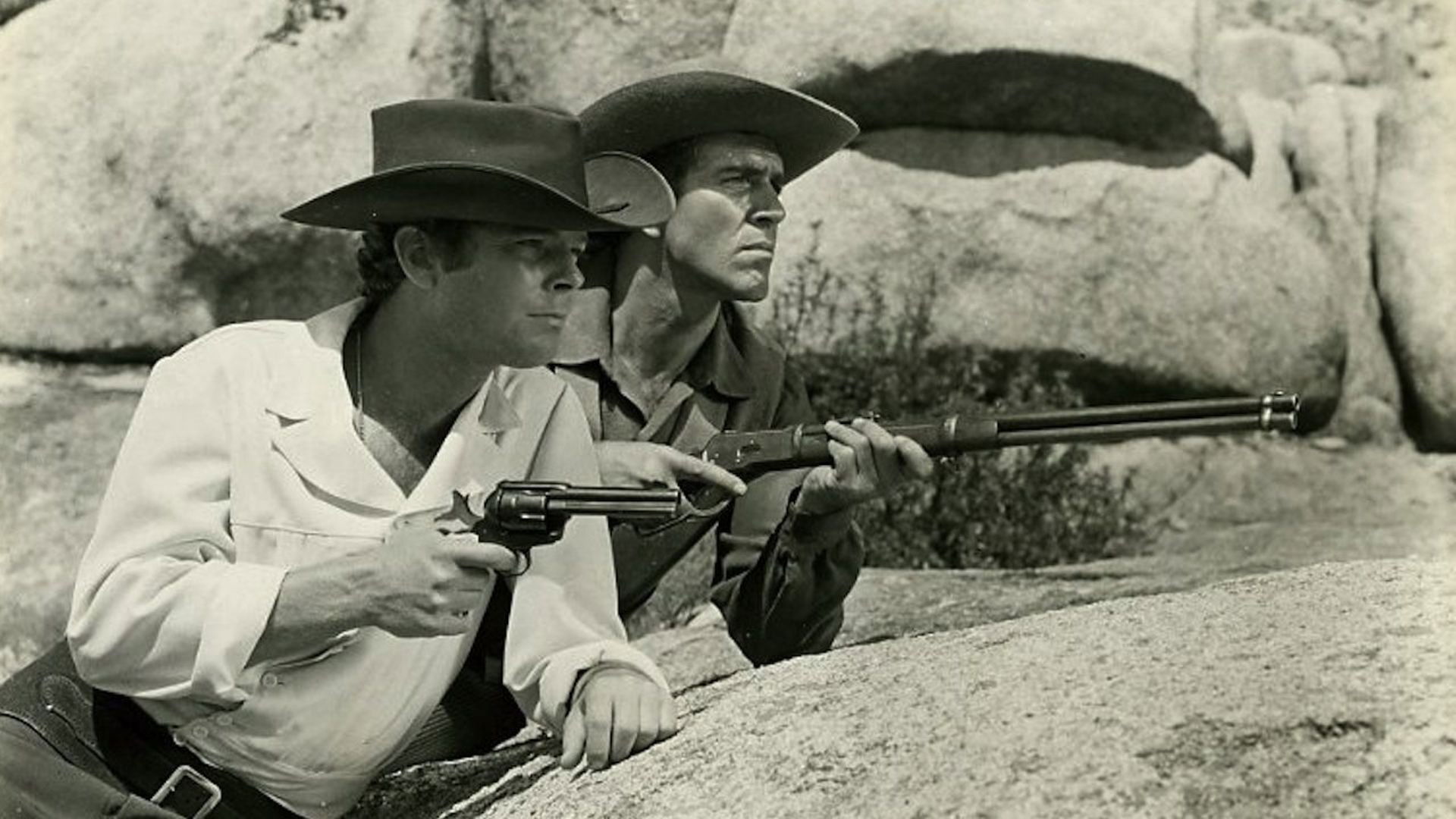 Son of a Gunfighter (1965)