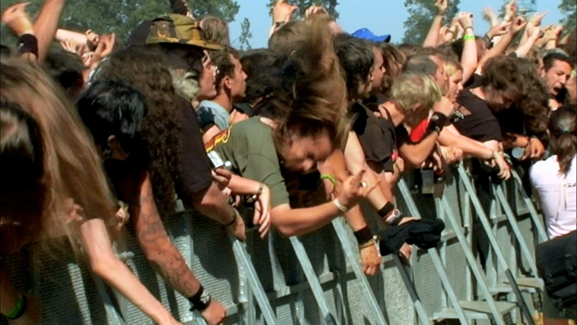 Metal Evolution