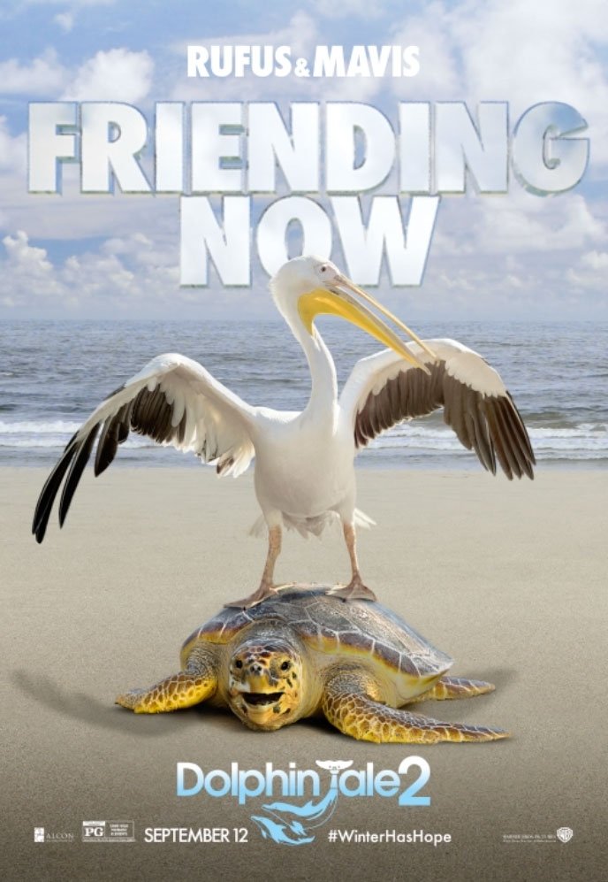 Dolphin Tale 2
