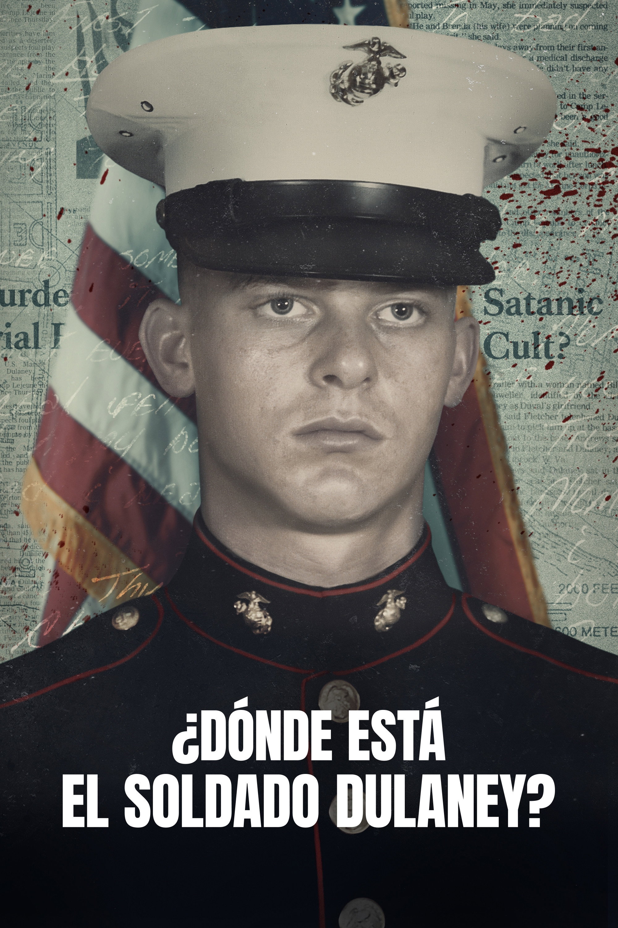 Poster de El misterio detrás del soldado desaparecido