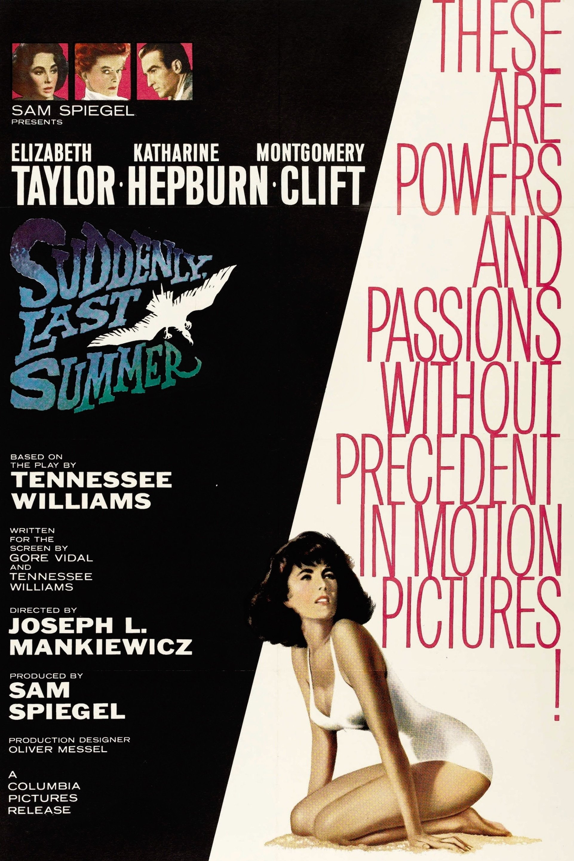 Suddenly, Last Summer