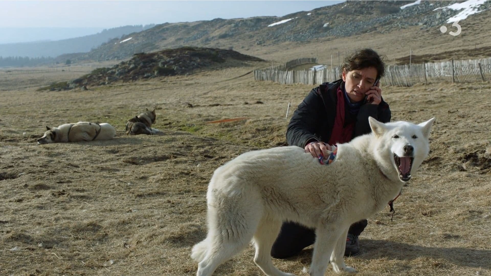 Imagem do Filme La doc et le véto : En chiens de faïence