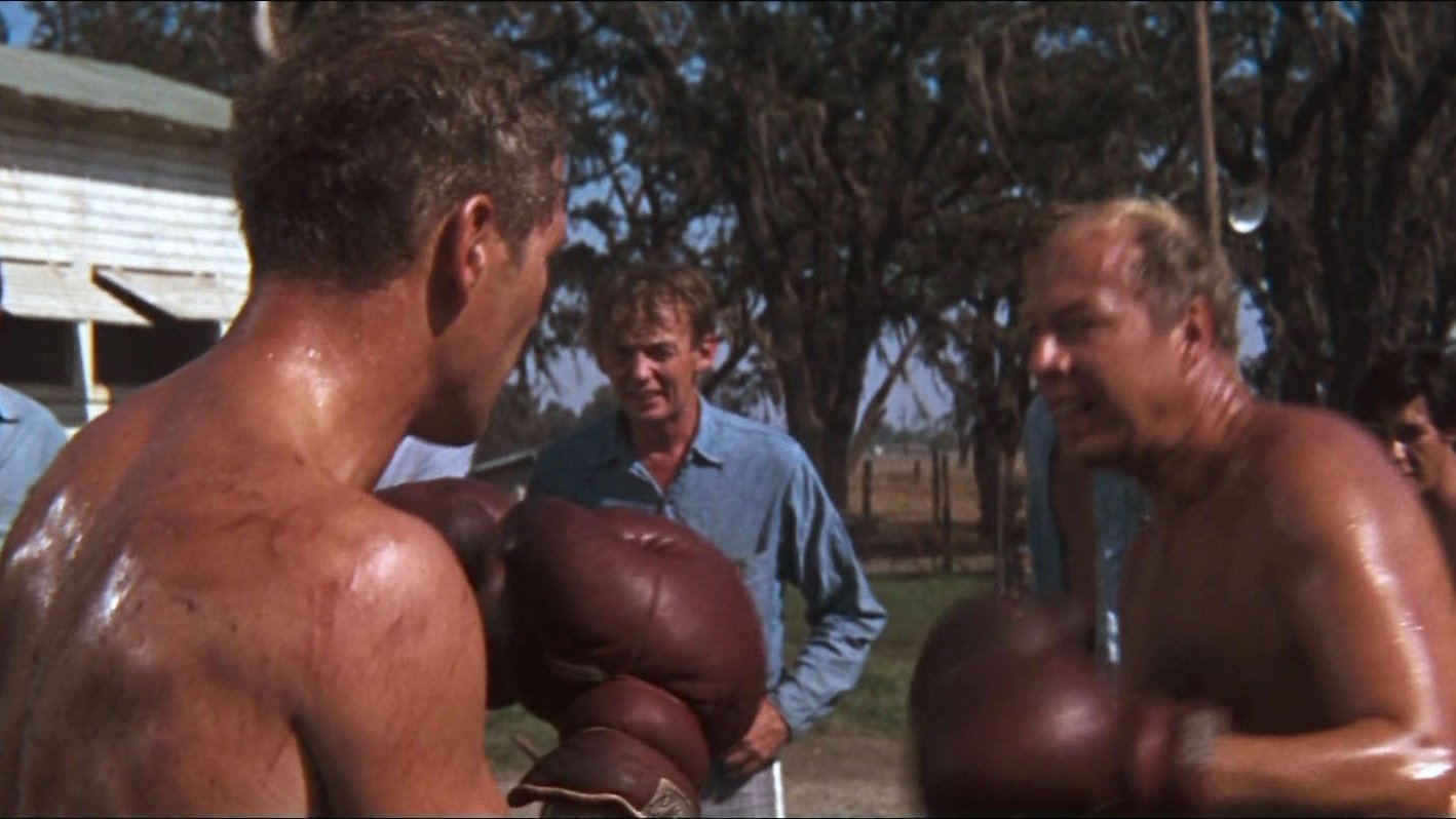 Cool Hand Luke