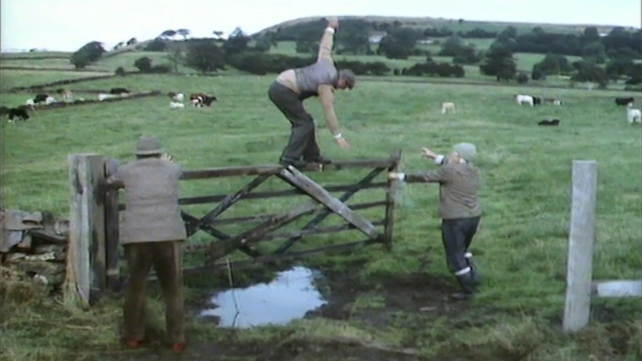 Last of the Summer Wine