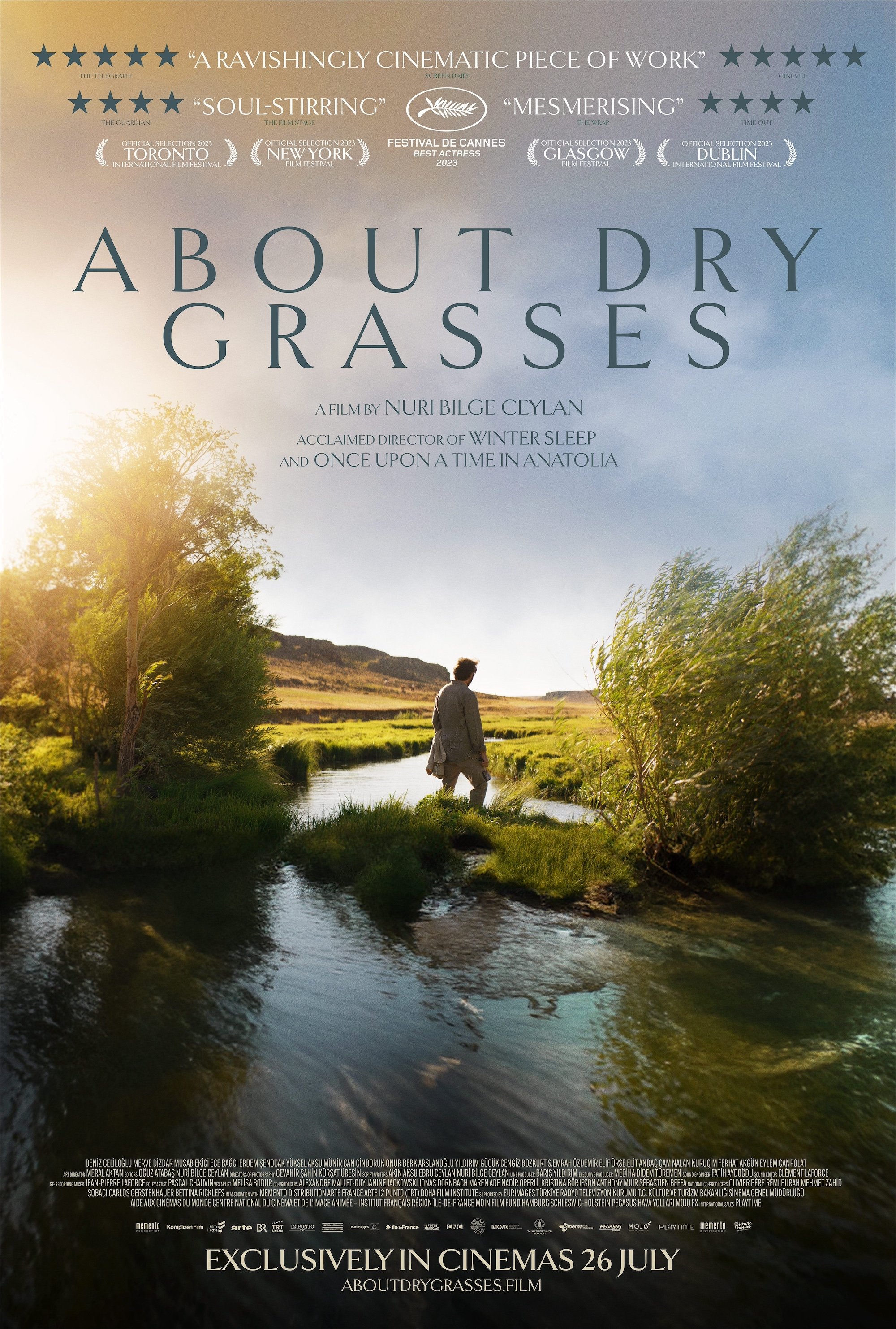 About Dry Grasses