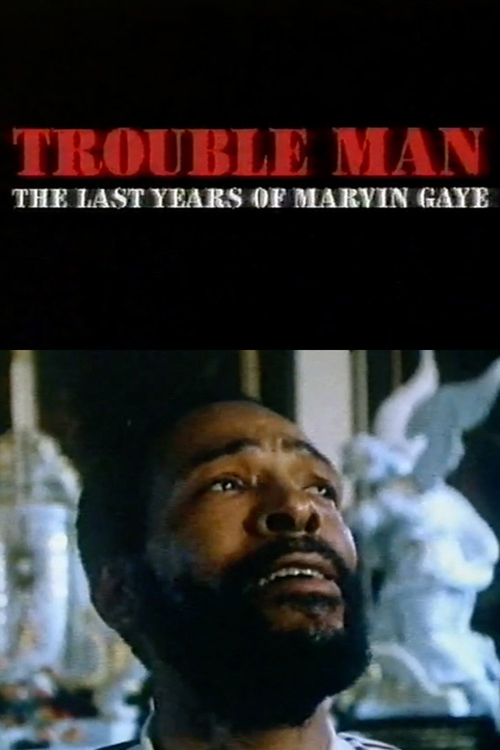 Trouble Man - The Last Years of Marvin Gaye