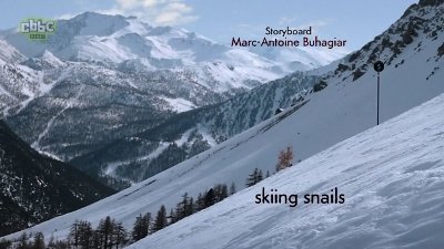 Minuscule - Piste noire pour gastéropodes