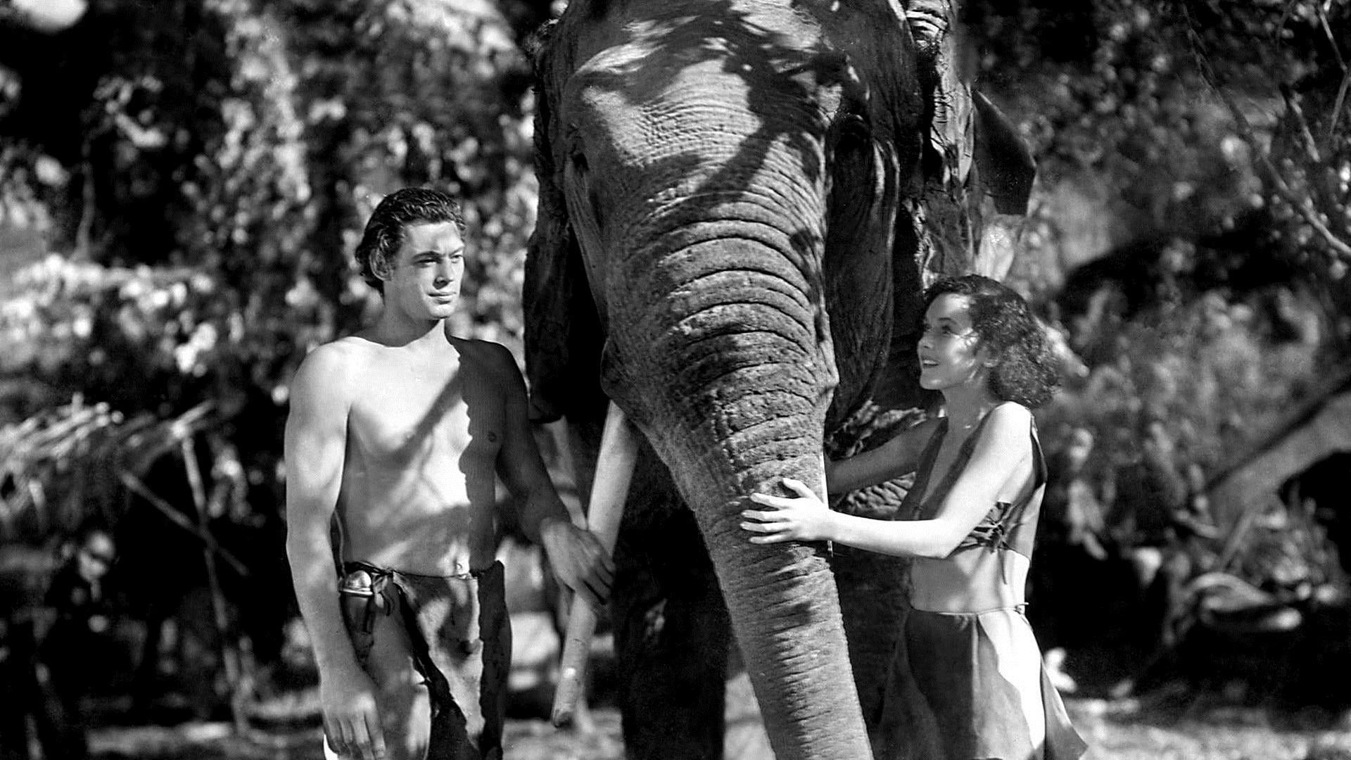 Tarzan and His Mate (1934)