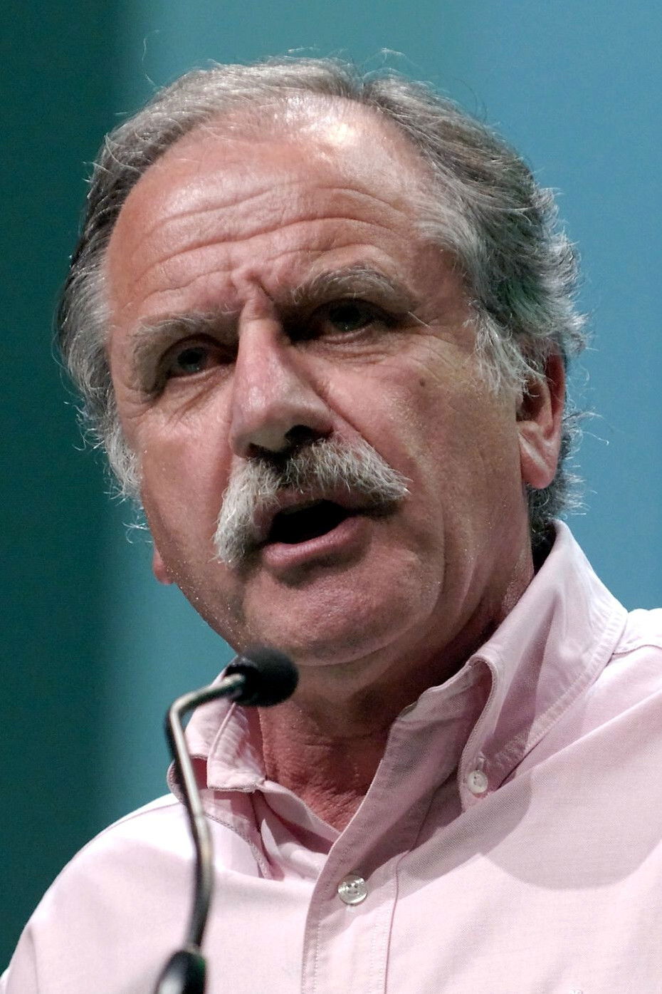 et billede af Noël Mamère