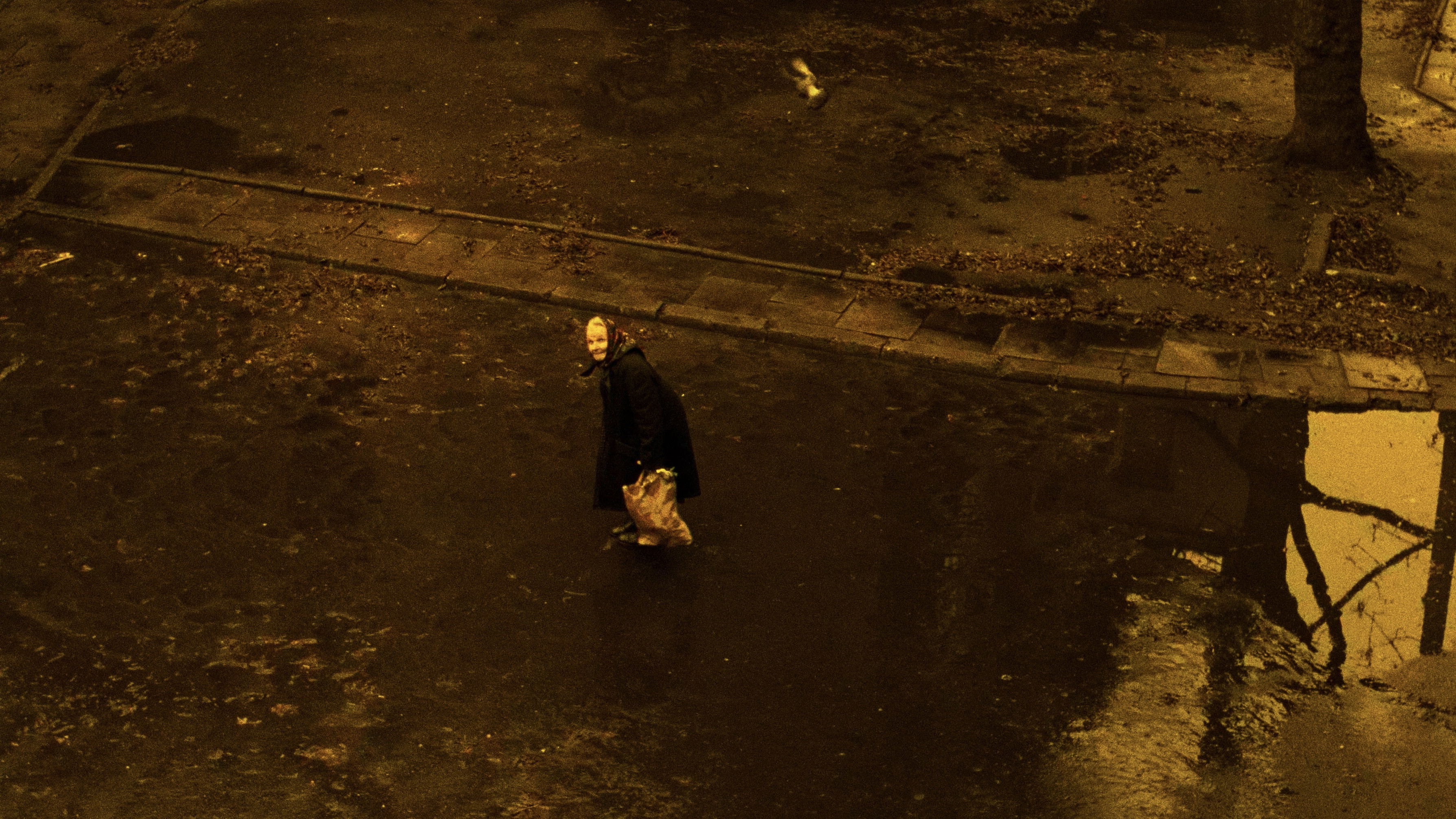 The Double Life of V&eacute;ronique