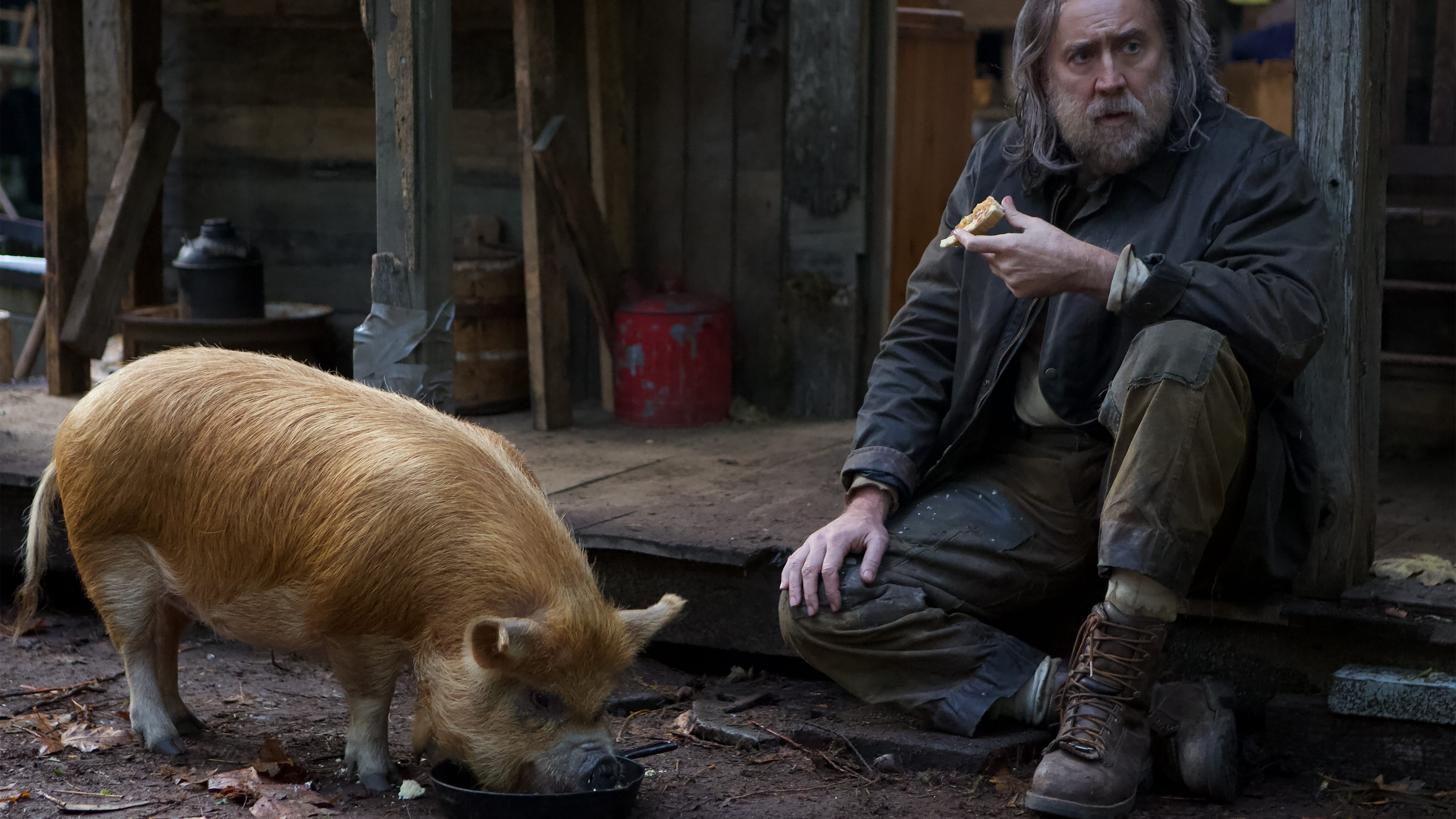 Pig (2021) Movie English Full Movie Watch Online