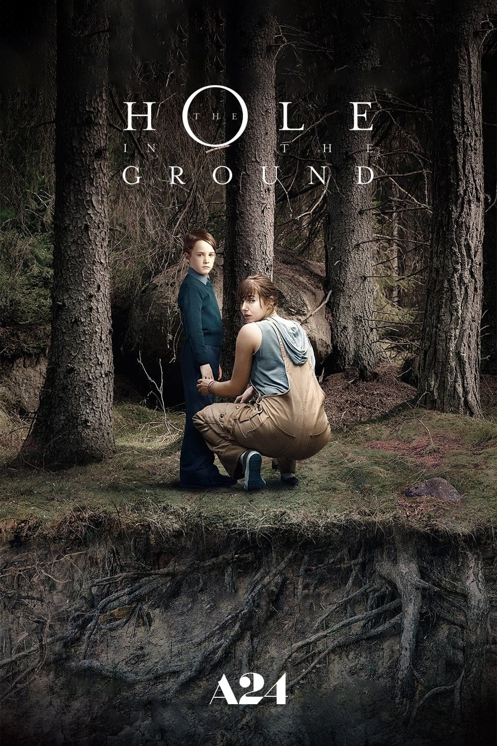 The Hole in the Ground Movie poster