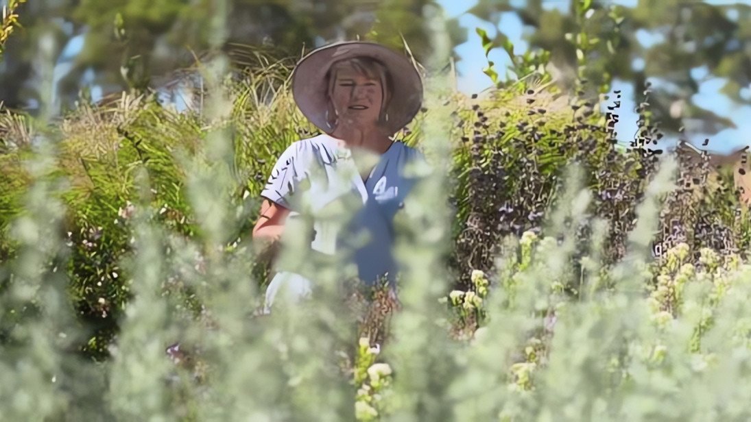 Gardening Australia 32x15