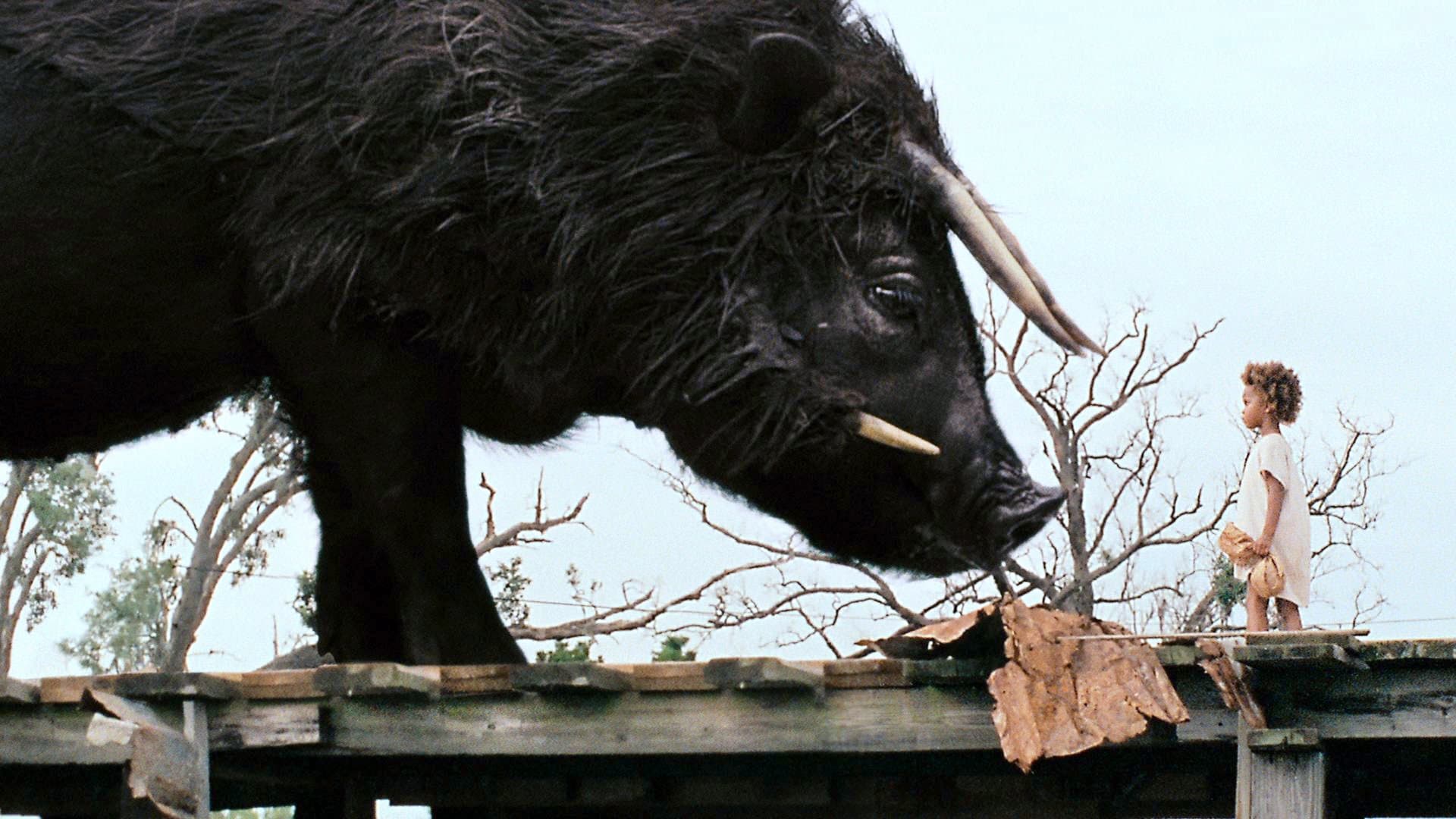 Filmszene aus Beasts of the Southern Wild