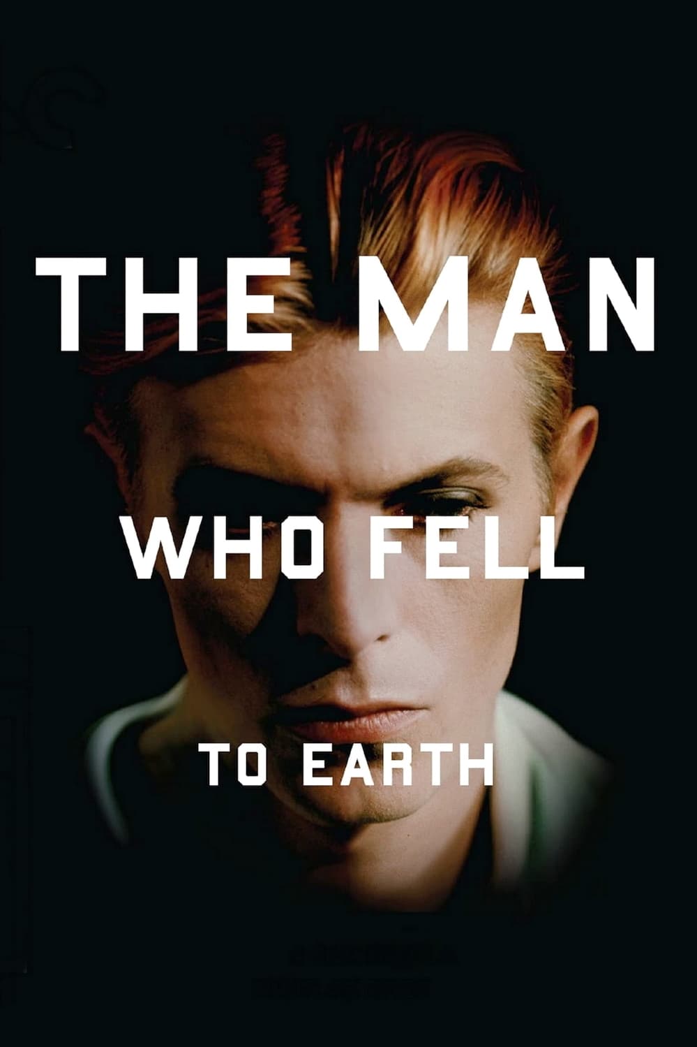 The Man Who Fell to Earth