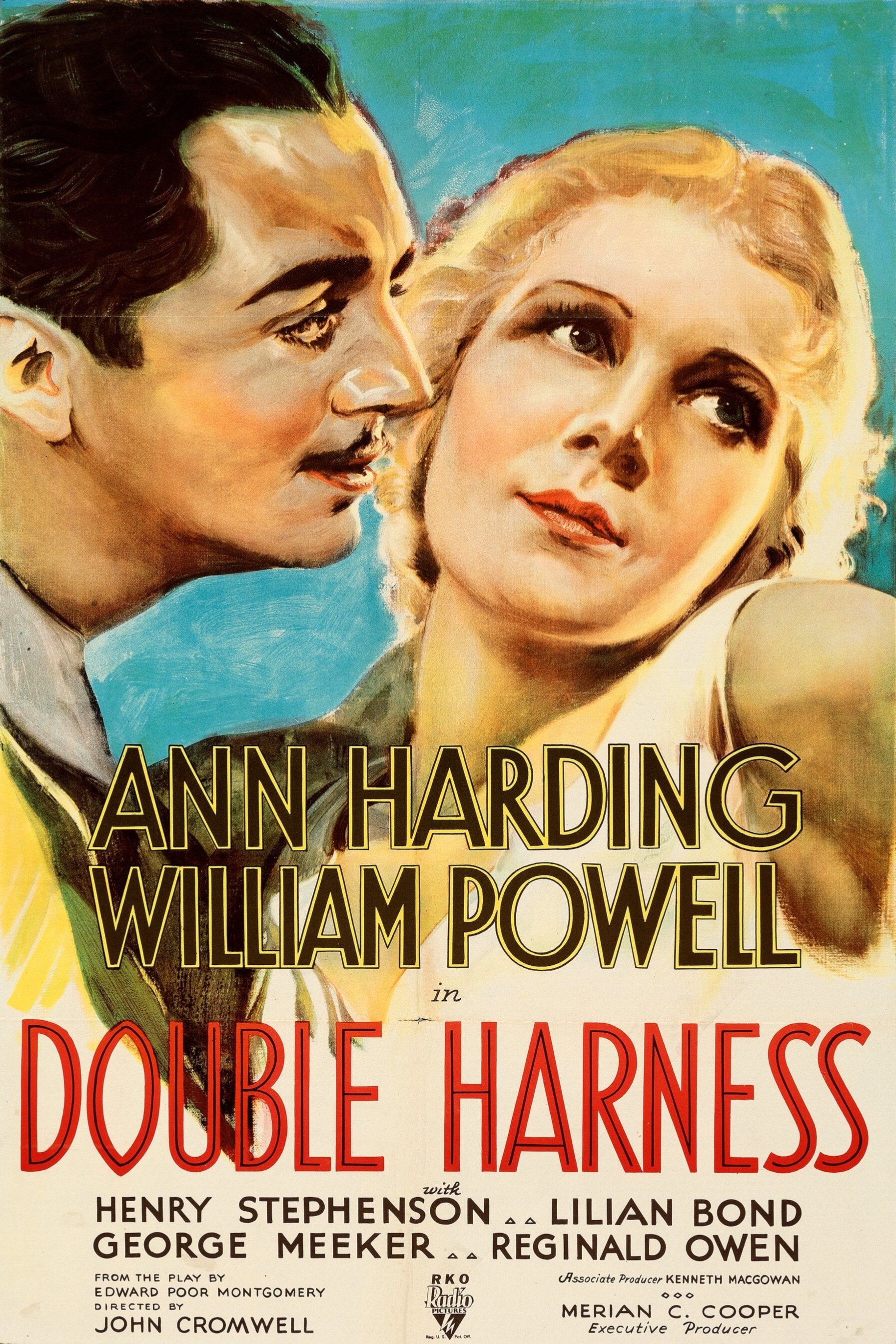 Double Harness