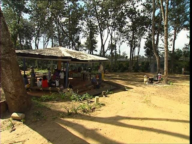 C'est pas sorcier - Le café : les sorciers veillent au grain