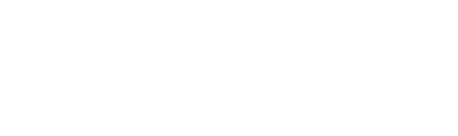 Northern Lights Logo