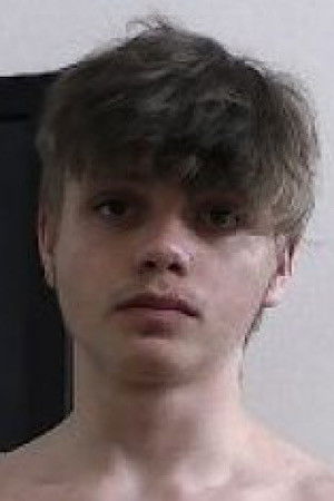 et billede af Bogdan Fox