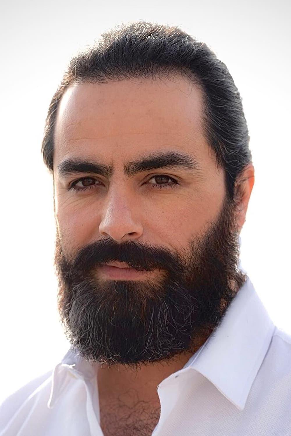 et billede af Paeman Arianfar