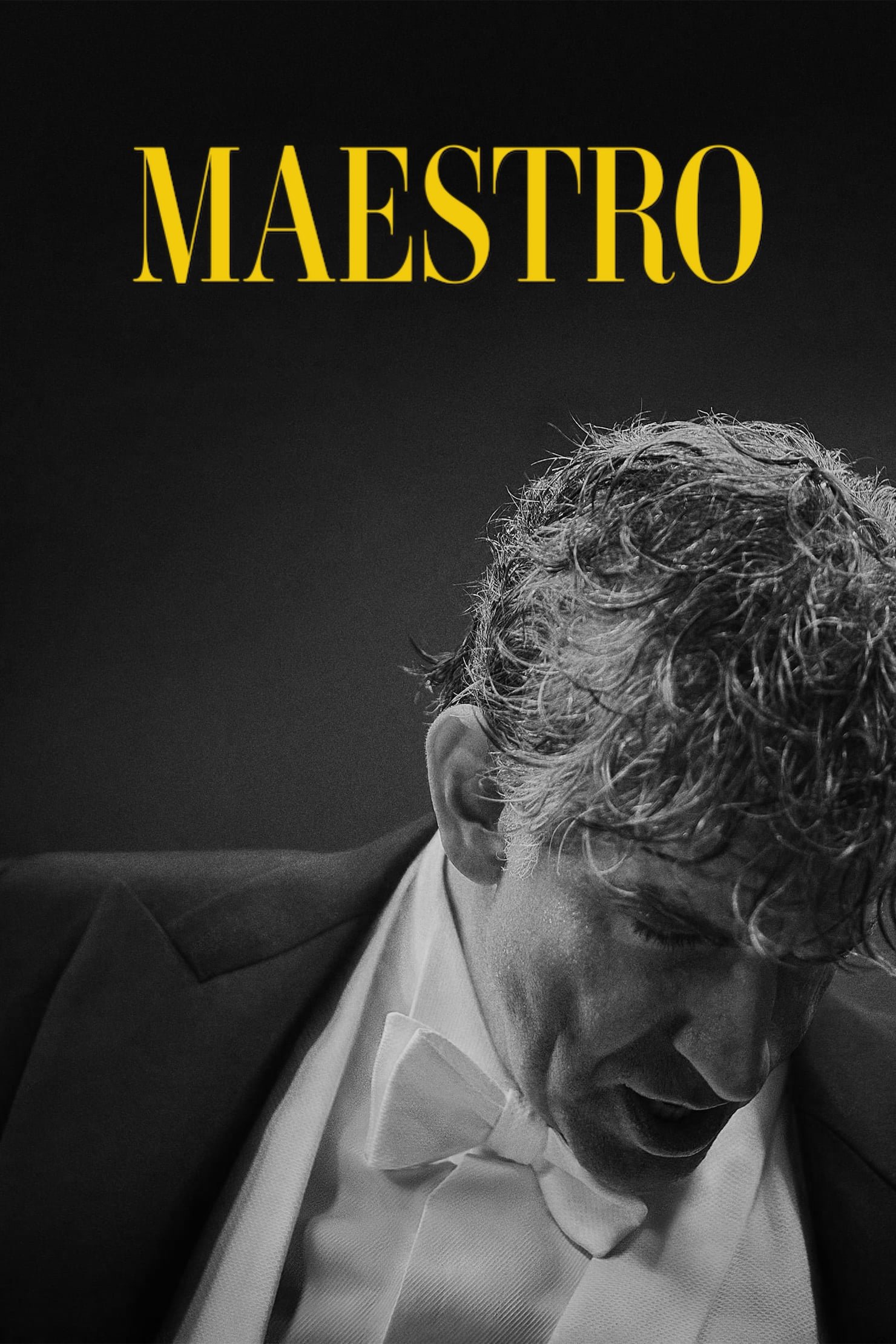 Maestro