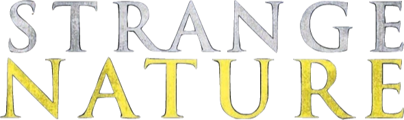 Strange Nature