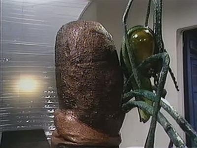 Doctor Who - Staffel 12 Folge 8 (1970)