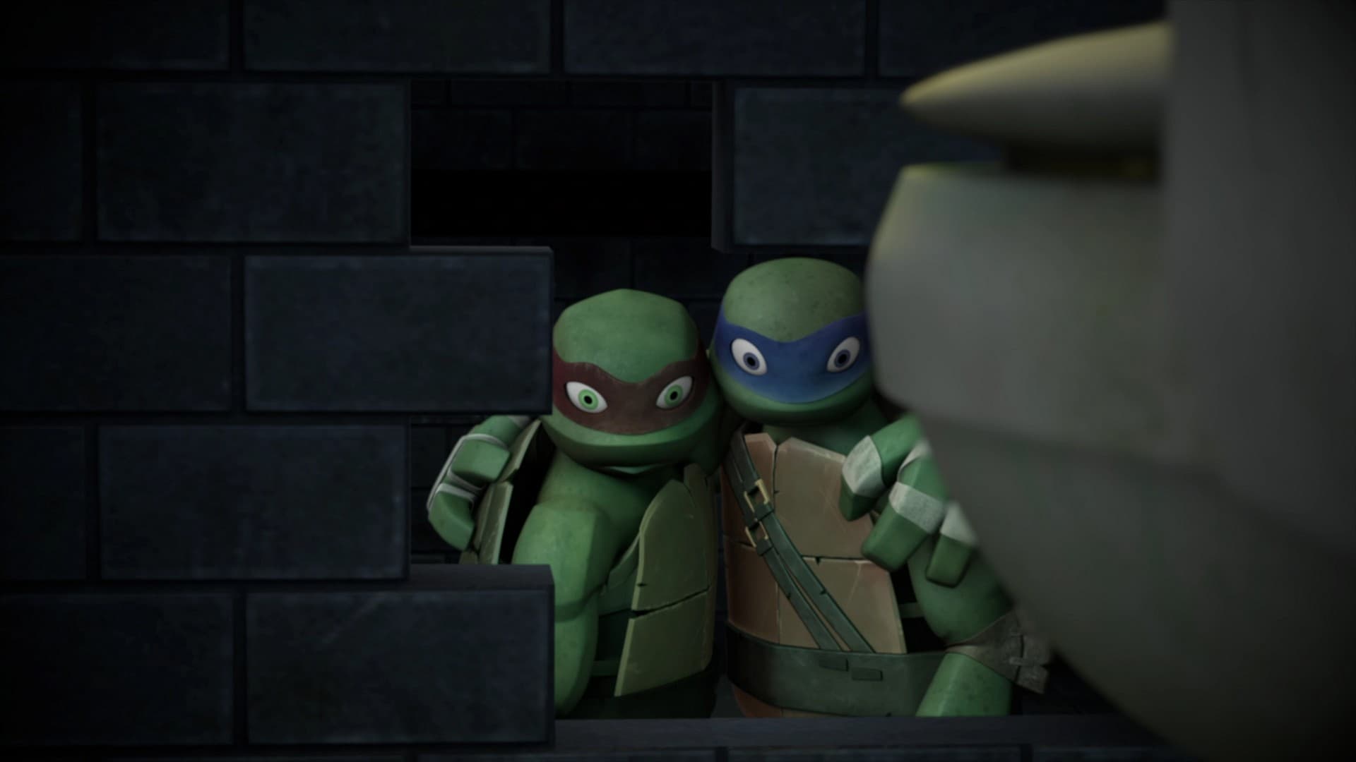 Teenage Mutant Ninja Turtles