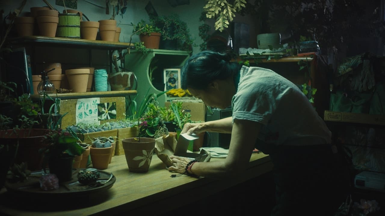 In Full Bloom (2019)