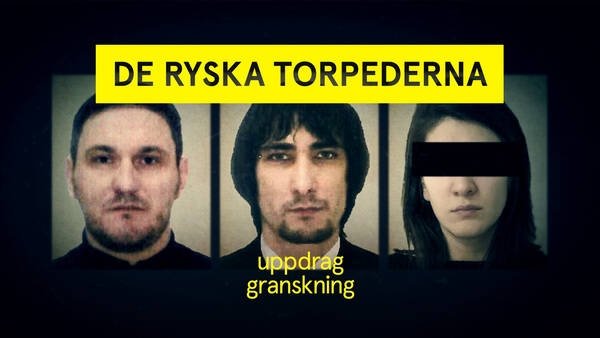 Uppdrag granskning