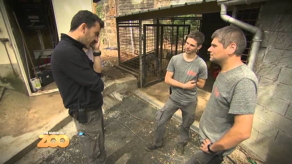 Une saison au zoo