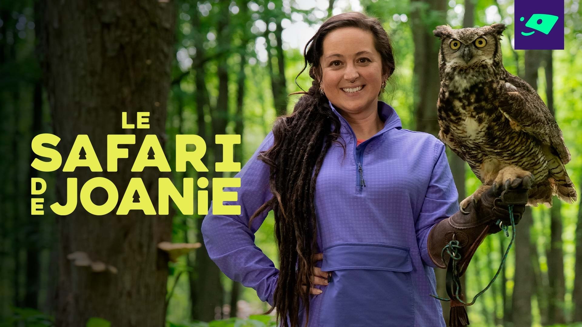 Le safari de Joanie poster