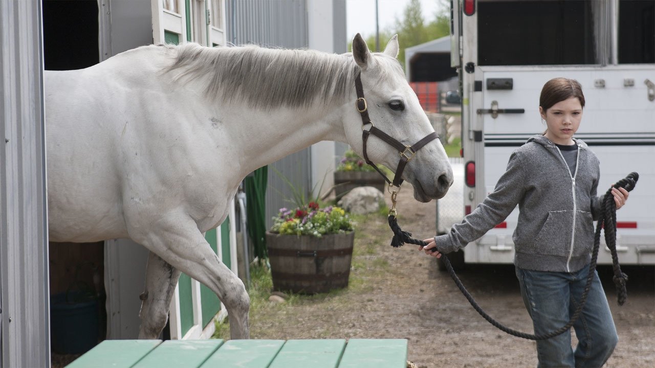 Heartland - Paradies für Pferde Staffel 6 :Folge 2 