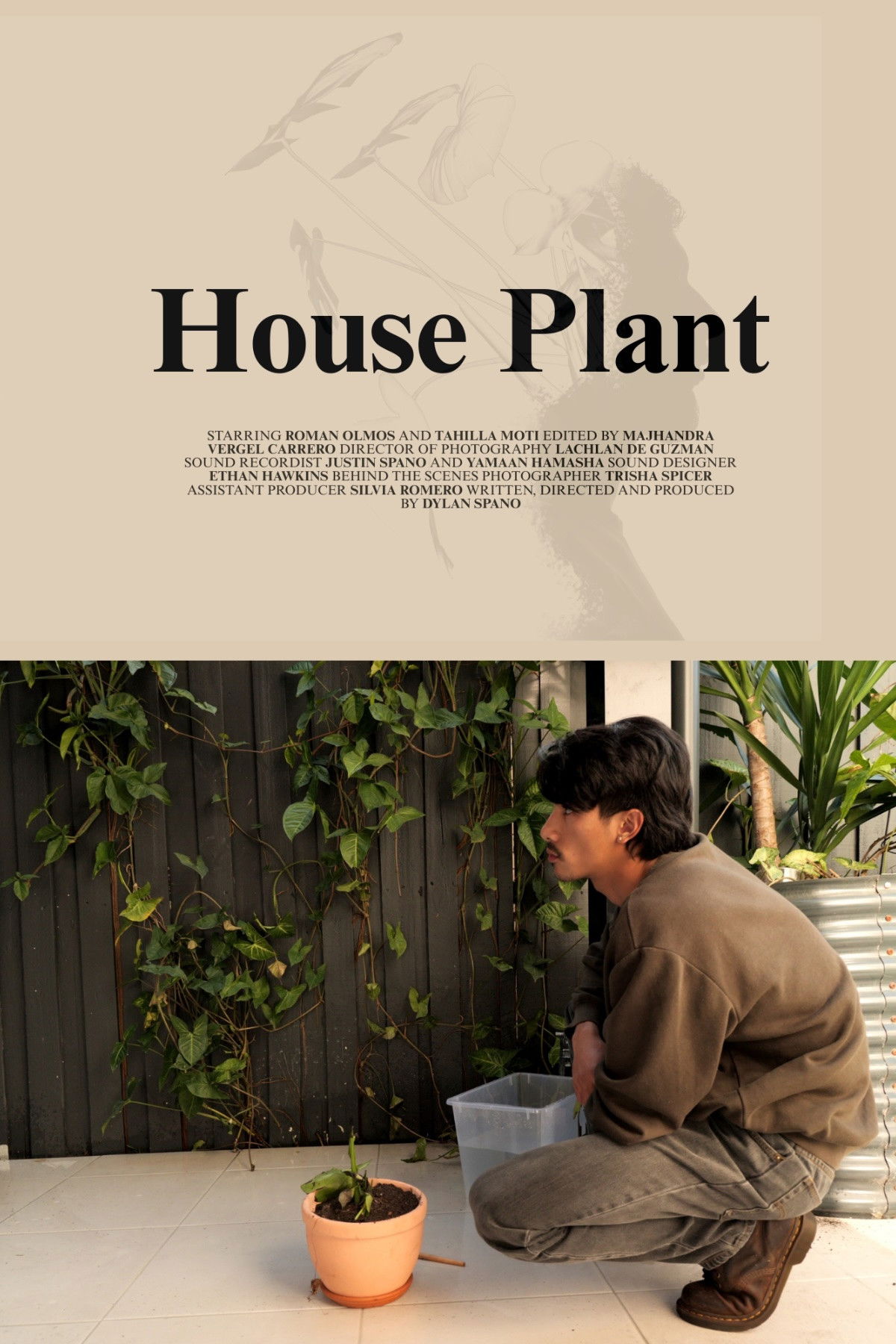 House Plant