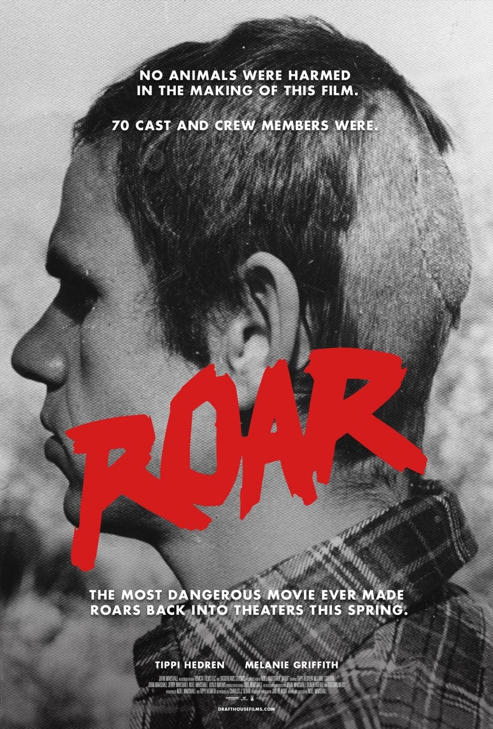 Roar