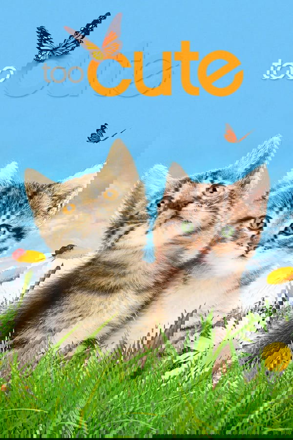 Thumbnail for Episode 1 Season 1 Episode 1