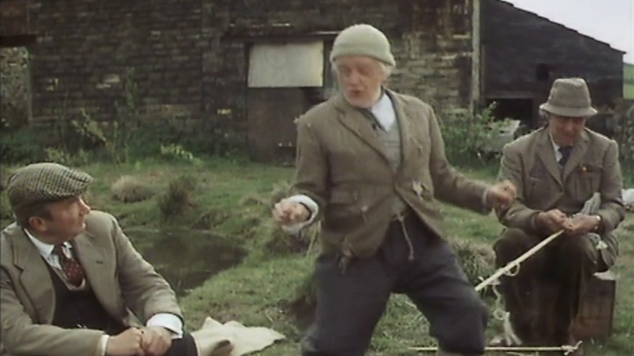 Last of the Summer Wine
