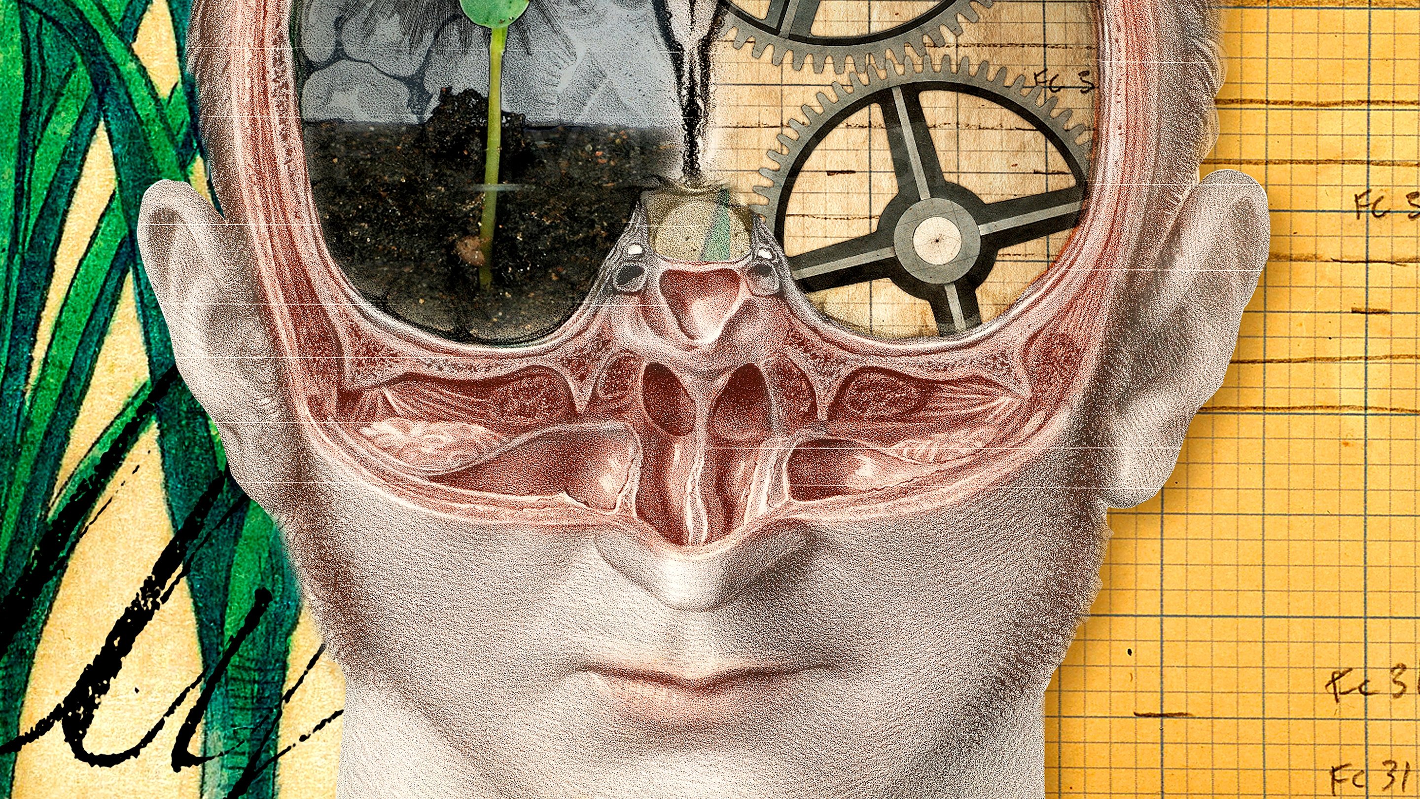 The Divided Brain (2019)