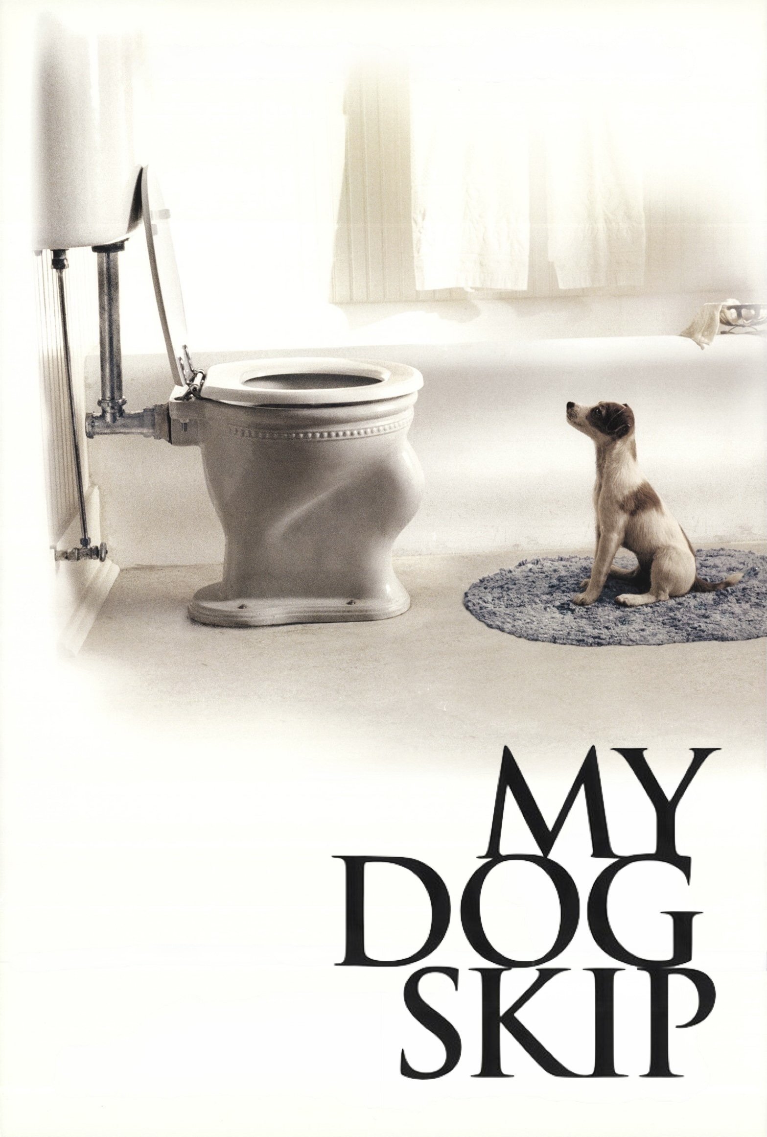 My Dog Skip poster image