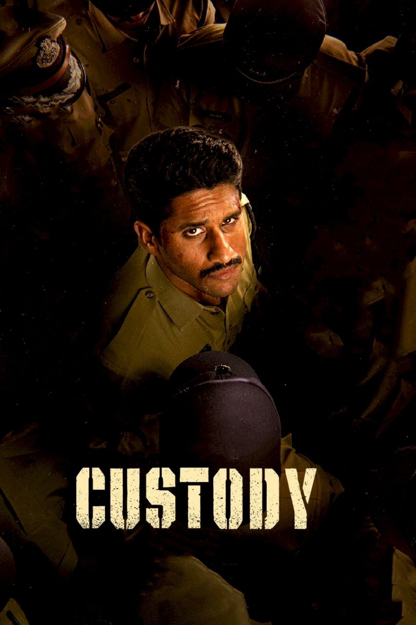 Custody Movie poster