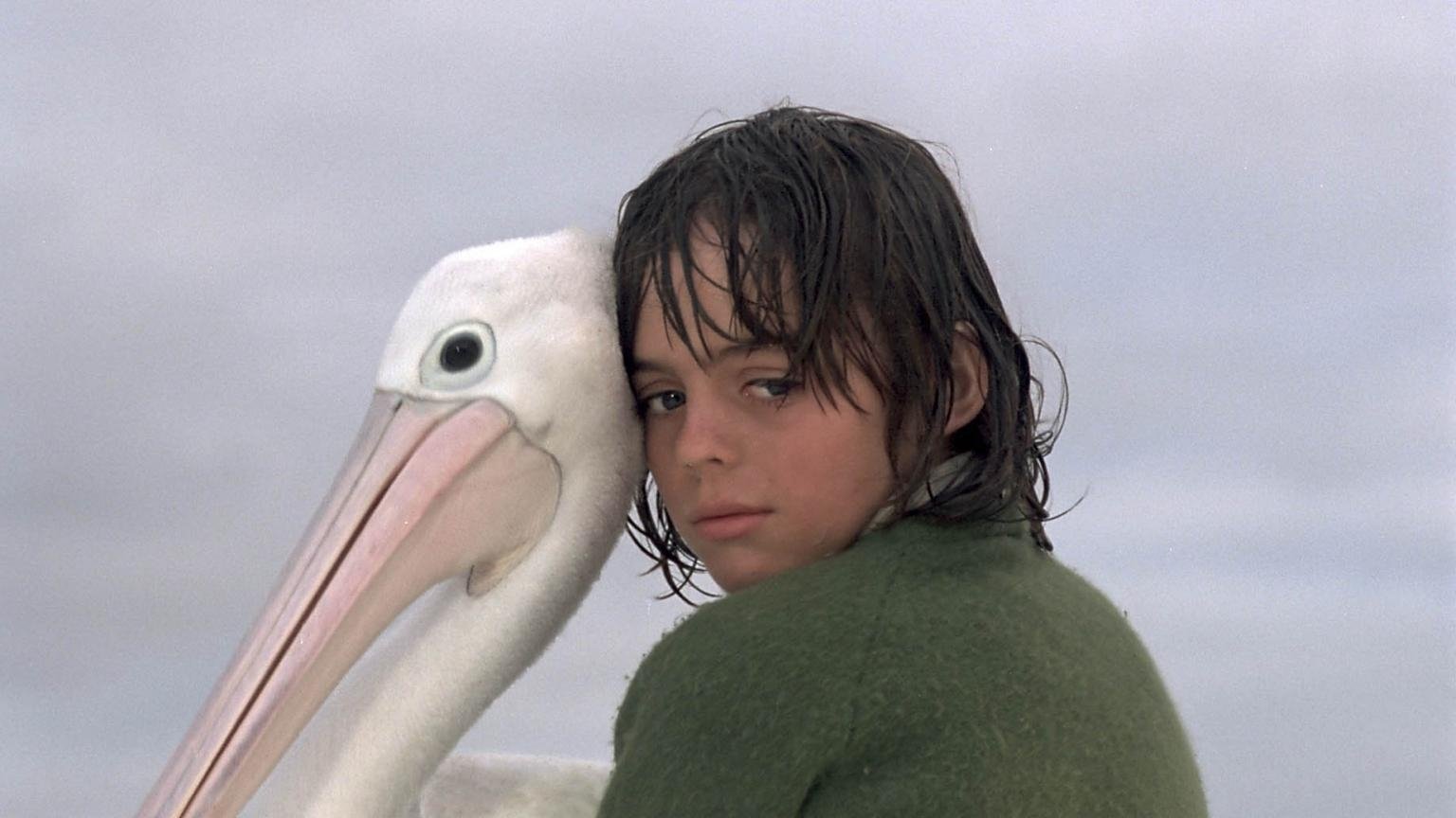 Storm Boy (1977)