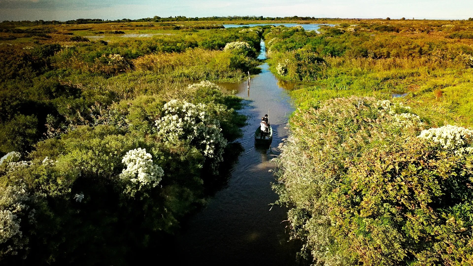 La Camargue : sauvage et fragile poster